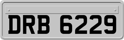 DRB6229