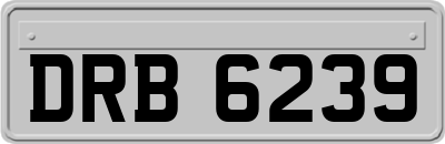 DRB6239