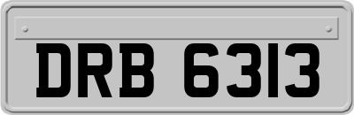 DRB6313