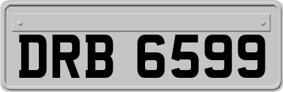 DRB6599
