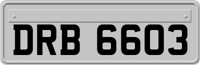 DRB6603