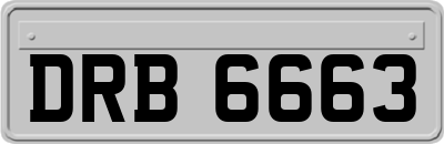 DRB6663