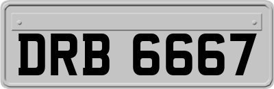 DRB6667