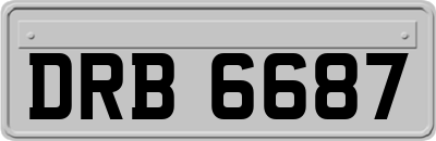 DRB6687