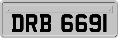 DRB6691