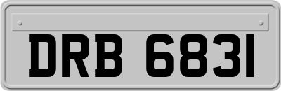 DRB6831