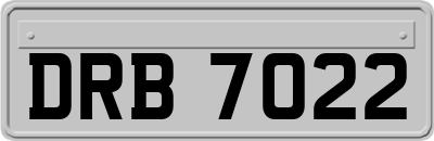 DRB7022