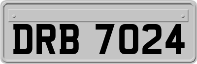DRB7024