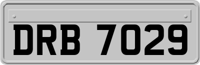 DRB7029