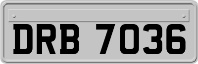 DRB7036