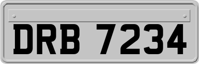 DRB7234
