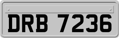 DRB7236