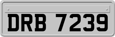 DRB7239