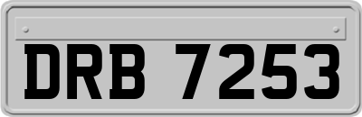 DRB7253