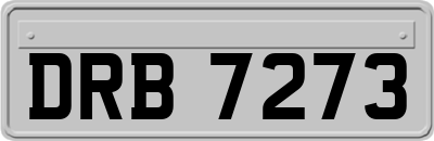 DRB7273
