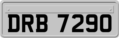 DRB7290