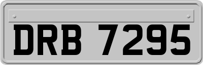 DRB7295