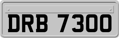 DRB7300