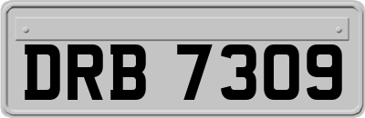 DRB7309