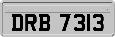 DRB7313