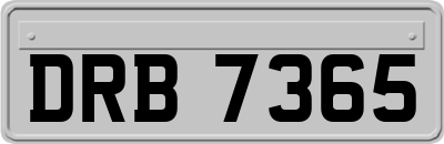 DRB7365