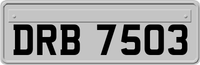 DRB7503