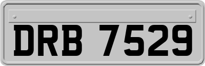 DRB7529