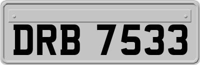 DRB7533
