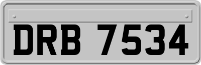 DRB7534