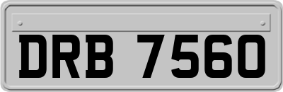 DRB7560