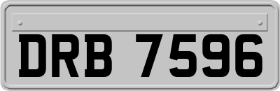 DRB7596