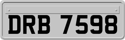 DRB7598