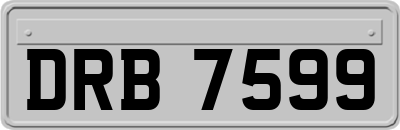 DRB7599