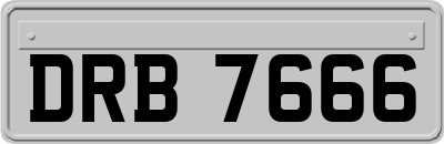 DRB7666