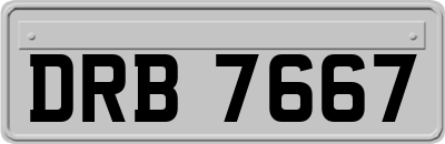 DRB7667