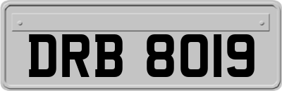DRB8019