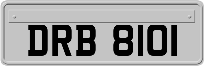 DRB8101
