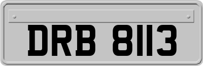 DRB8113