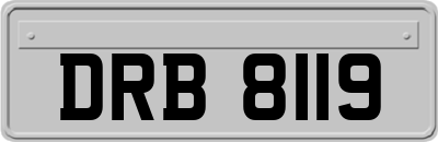 DRB8119