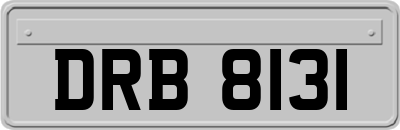 DRB8131