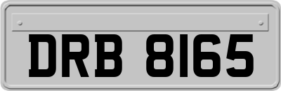 DRB8165