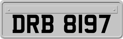 DRB8197