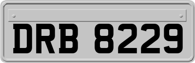 DRB8229