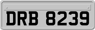DRB8239