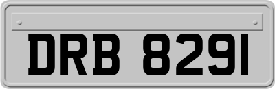 DRB8291