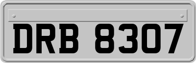 DRB8307