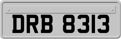 DRB8313