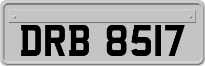 DRB8517