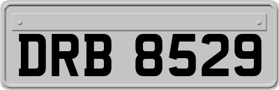 DRB8529