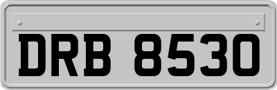 DRB8530